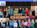 Thumbnail for www.zestchoirclub.co.uk